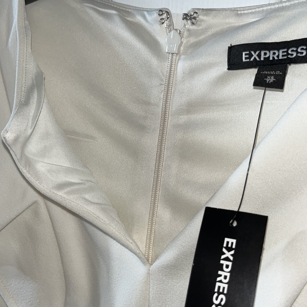 Express Ruffle Sheath Dress - Picture 5 of 5